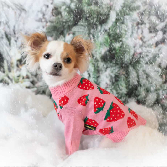 Sweet Strawberry Dog Sweater