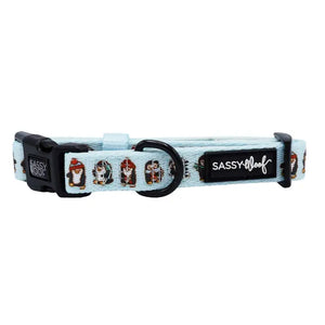 Winter Waddleland Dog Collar