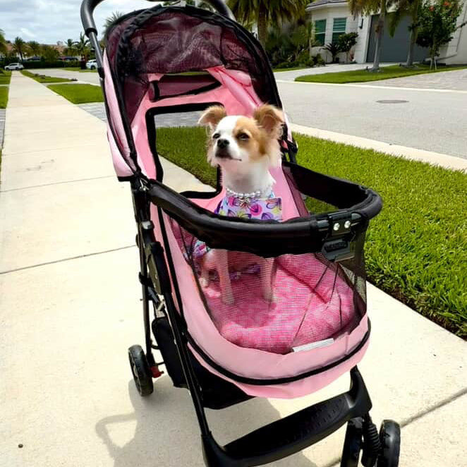 runners world jogging stroller Momentum Bugaboo Fox / Buffalo voice control helmet Size:Twin Stroller