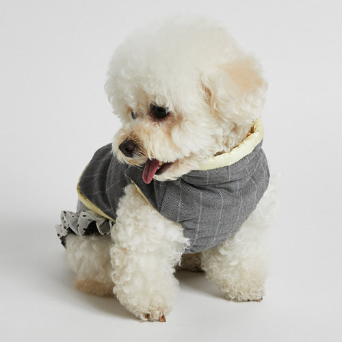 Louis Pup Reversible Fluffy Vest