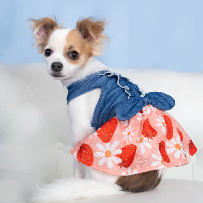Strawberry Denim Dress
