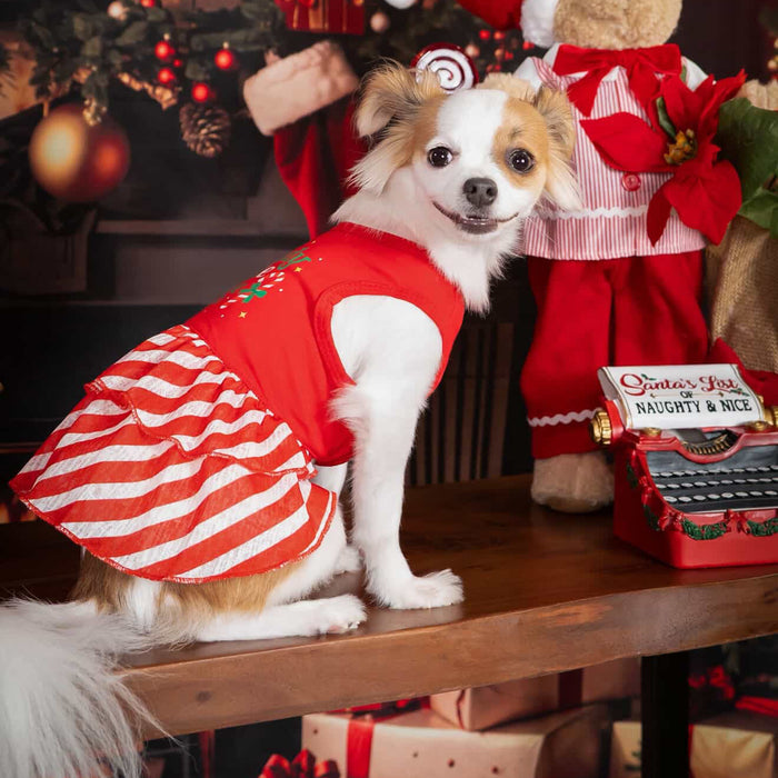 Candy Cane Cutie Dog Dress