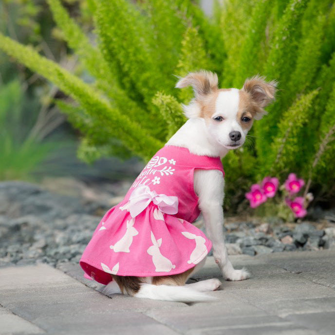 Eggstra Cute Dog Dress- Posh Puppy Boutique Eggstra Cute Dog Dress- Posh Puppy Boutique