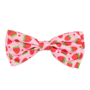 Strawberries Bow Tie
