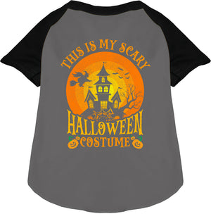 Scary Halloween Costume Pet Raglan Shirt