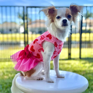 Heart Pattern Dog Tulle Dress