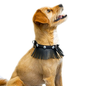 Western Fringed Style Collar in Black