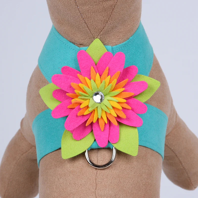 Alexandra Flower Tinkie Harness