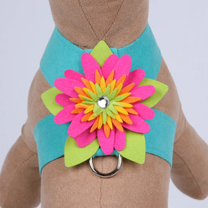 Susan Lanci Island Flower Collection Tinkie Harness-Many Colors
