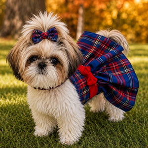 Red/Blue Plaid Dress