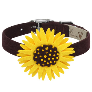 Susan Lanci Sunflower Collar