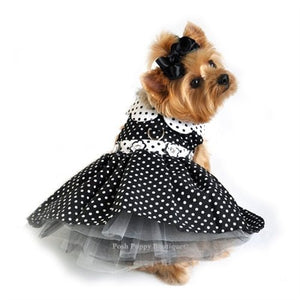 Black and White Polka Dot Dog Dress - X-Small Black and White Polka Dot Dog Dress - X-Small