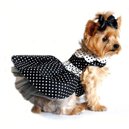 Polka Dot Dog Dress - Black and White Polka Dot Dog Dress - Black and White