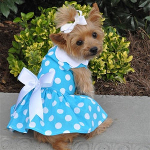 Blue Polka Dot Dog Dress with Matching Leash Small