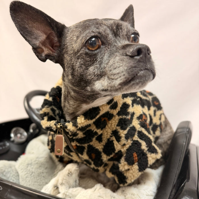 Leopard Sherpa 1/4 Zip Pullover