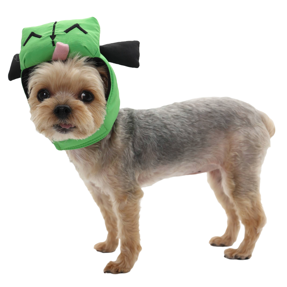 Fun Bot Hat – Posh Puppy Boutique