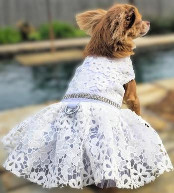 dog wedding dress White Lace Dog Wedding Dress with Matching Leash
