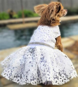 dog wedding dress White Lace Dog Wedding Dress with Matching Leash