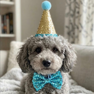 Sparkle Party Hat & Bow Tie Set in Gold