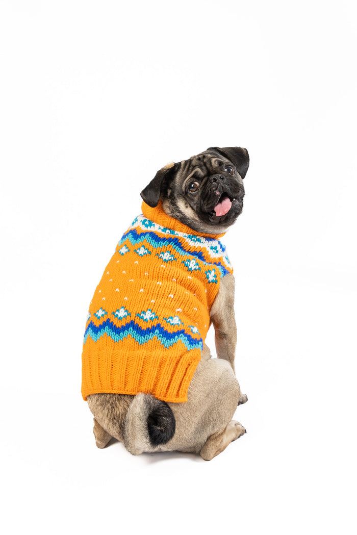 Artic Amber Dog Sweater