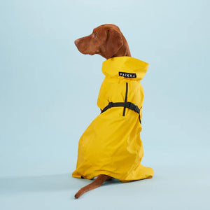 Visibility Raincoat in Yellow