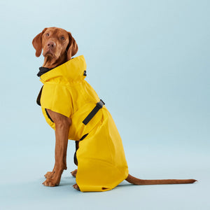 Visibility Raincoat in Yellow