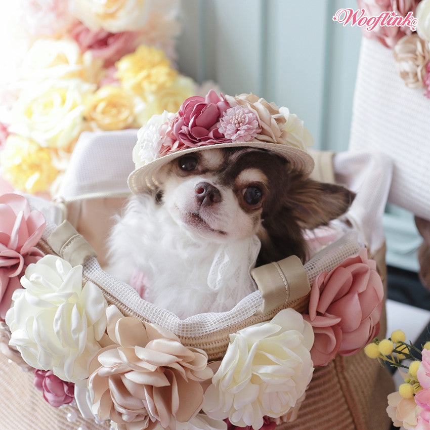 Wooflink Vacation Dream Bag in Beige – Posh Puppy Boutique