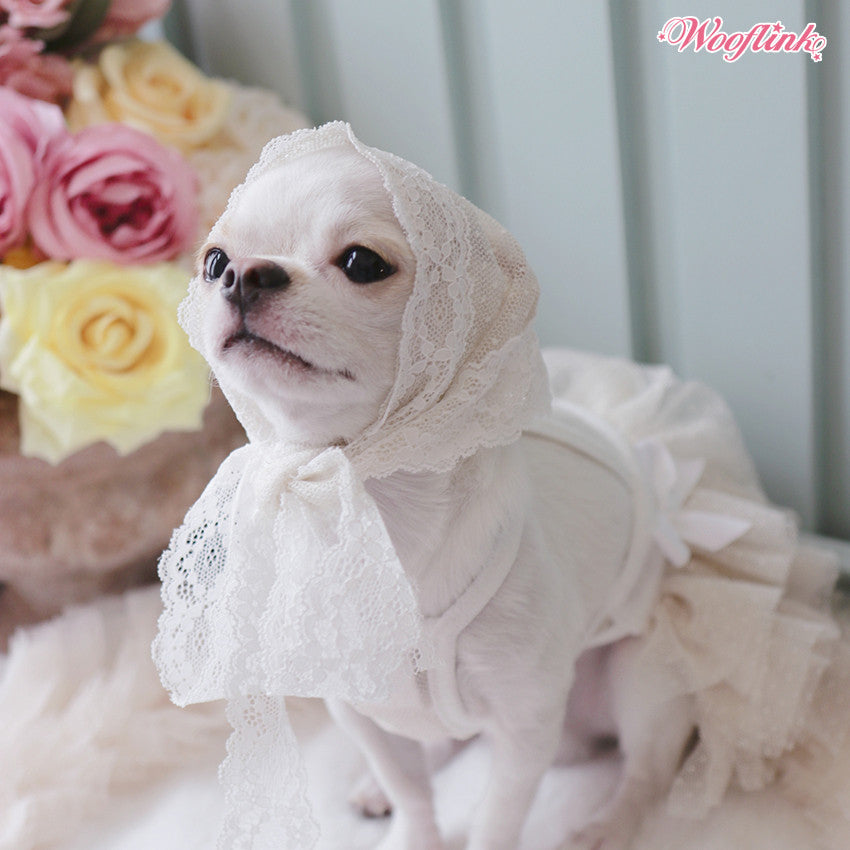 Wooflink Collection - Posh Puppy Boutique