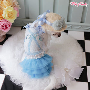 Wooflink Love Lace Top in Blue – Posh Puppy Boutique