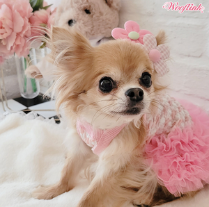 Wooflink Hey Gorgeous Girl Mini Dress - Pink