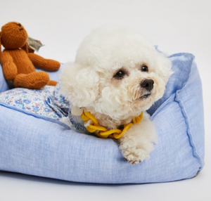 Louis Dog Baby Blue Organic Boom Bed - 3 Sizes