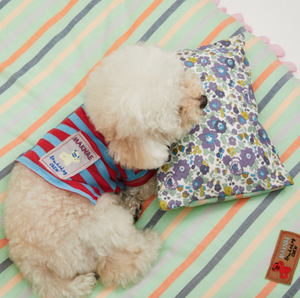 Louis Dog Organic Liberty Pillow - 4 Colors