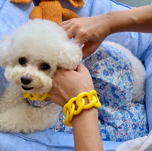 Louis Dog Sunshine Bracelet for Mom