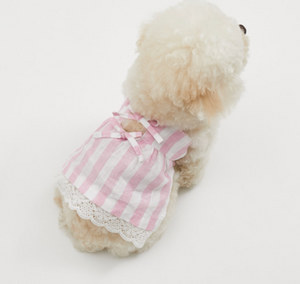 Louis Dog Pink Power Dress