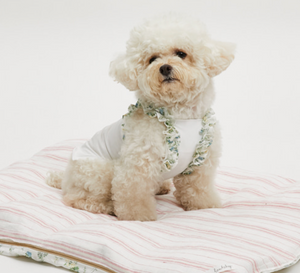 Louis Dog Shoulder Lace Sleeveless Top