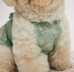Louis Dog Sage Green Crochet Dress