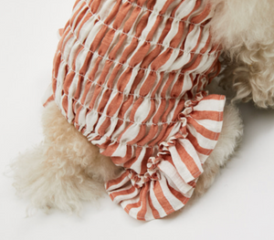 Louis Dog Spring Pants in Coral Stripes