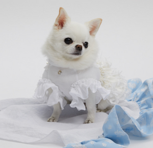 Louis Dog White Gleam Dress