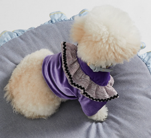 Louis Dog Purple Velour Wide Sleeves Top