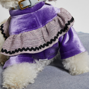 Louis Dog Purple Velour Wide Sleeves Top
