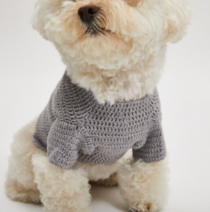 Louis Dog Classy Sweater in Sky Grey