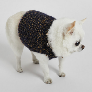 Louis Dog DELFI Crop Knitted Sweater