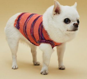 Louis Dog Genius Sweater Vest - Round Neck