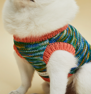 Louis Dog Genius Sweater Vest - V Neck