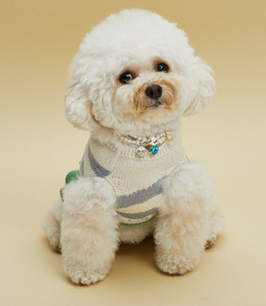 Louis Dog Tomboy Sweater - Bling Bling