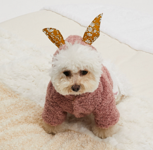 Louis Dog Bunny Hoodie - Indy Pink