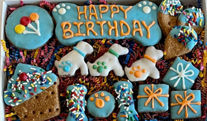 Happy Birthday Dog Treat Gift Box in Blue