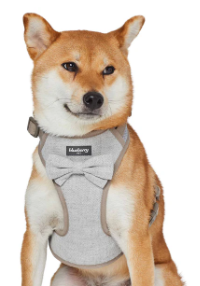 Textured Tweed Dog Harness Vest