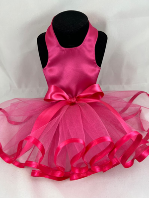 Hot Pink Tutu Dress