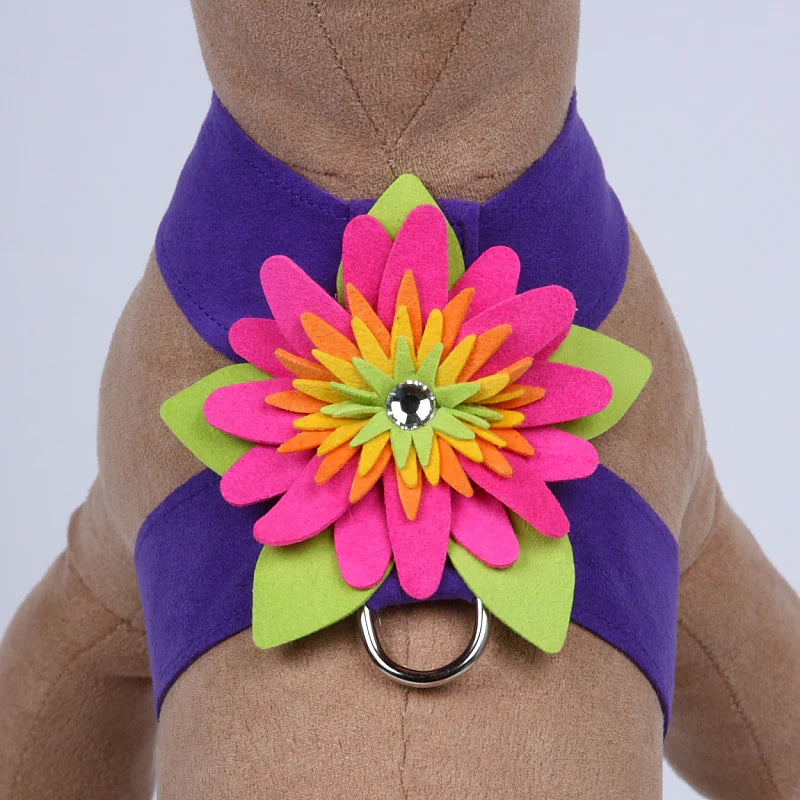 Alexandra Flower Tinkie Harness main image 1